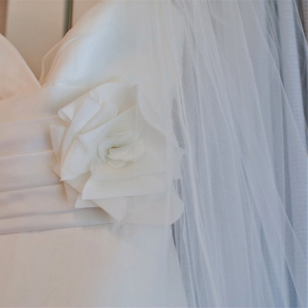 Gorgeous Designer Silk Judd Waddell Wedding Dress size 10, fits like a 6 - Picture 2 of 11